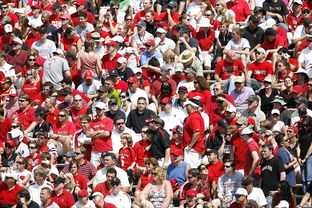 爱体育娱乐入口-体育赛事观众行为特征与管理对策，观众对体育赛事的意义